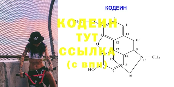 молекула духа Осташков