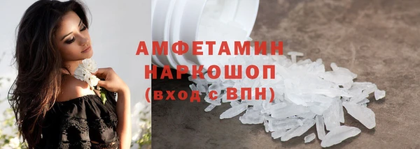 молекула духа Осташков