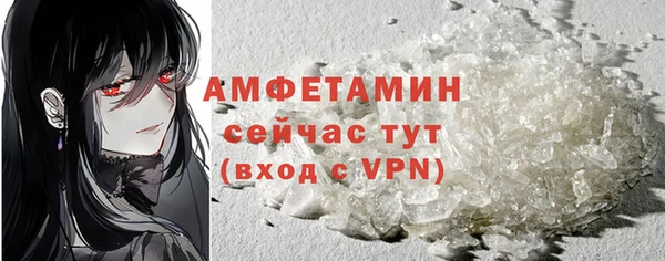 ПСИЛОЦИБИНОВЫЕ ГРИБЫ Осинники