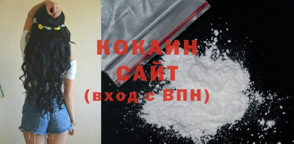 ПСИЛОЦИБИНОВЫЕ ГРИБЫ Осинники