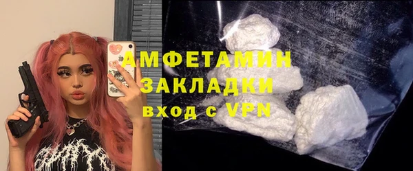 ПСИЛОЦИБИНОВЫЕ ГРИБЫ Осинники