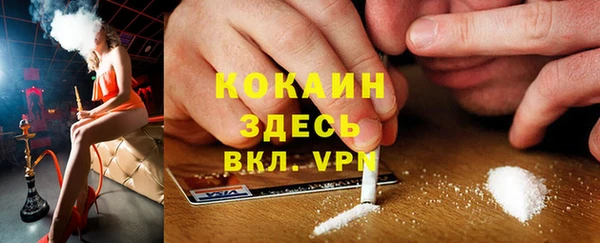молекула духа Осташков