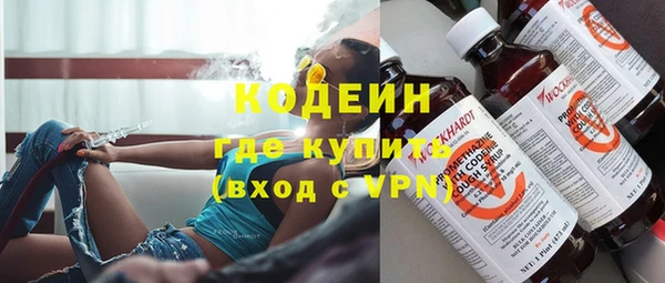 молекула духа Осташков