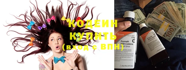 ПСИЛОЦИБИНОВЫЕ ГРИБЫ Осинники