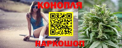 сатива Гусиноозёрск