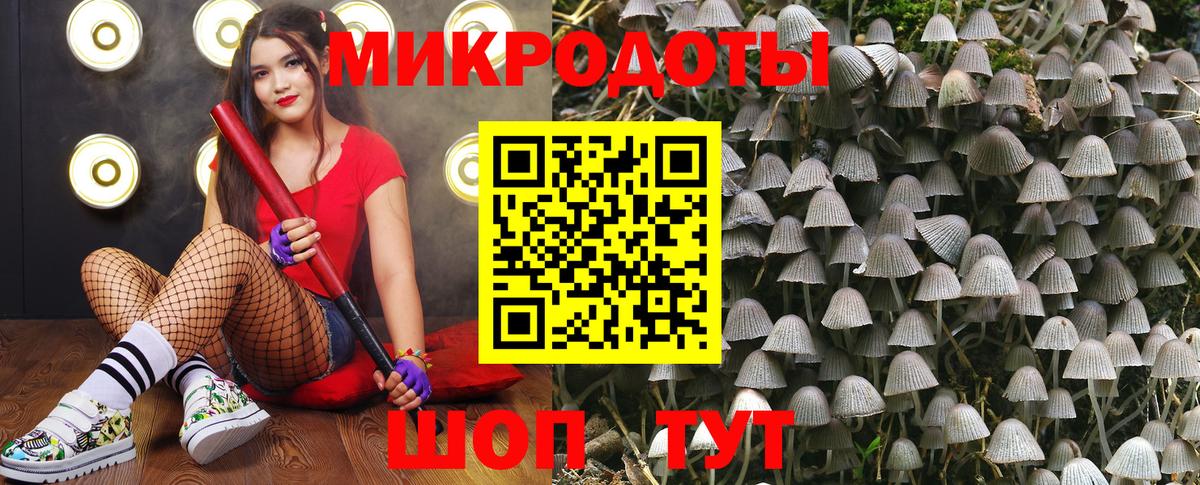 Продажа наркотиков  Меф   Экстази  Марихуана  ГАШ  Знаменск  Вход с VPN  ГАШ  Кокаин 