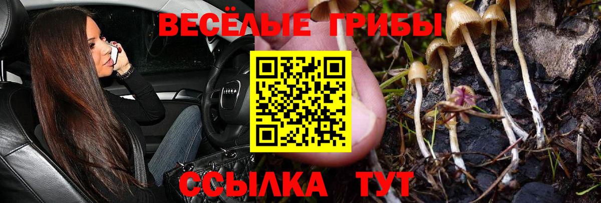 Псилоцибиновые грибы ЛСД  Вход с VPN  Знаменск 