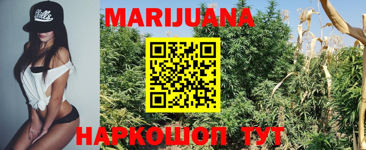 Конопля семена Знаменск